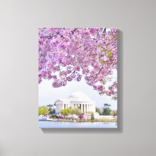 Impressão Em Tela EUA, Washington DC, árvore de cereja na flor