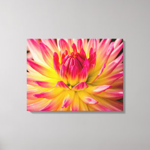 Impressão Em Tela EUA, Washington. Detalhe da Flor de Dahlia
