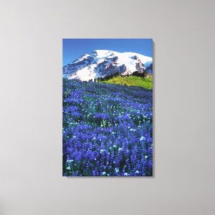 Impressão Em Tela EUA, Washington, Monte Rainier National Park. Mt.