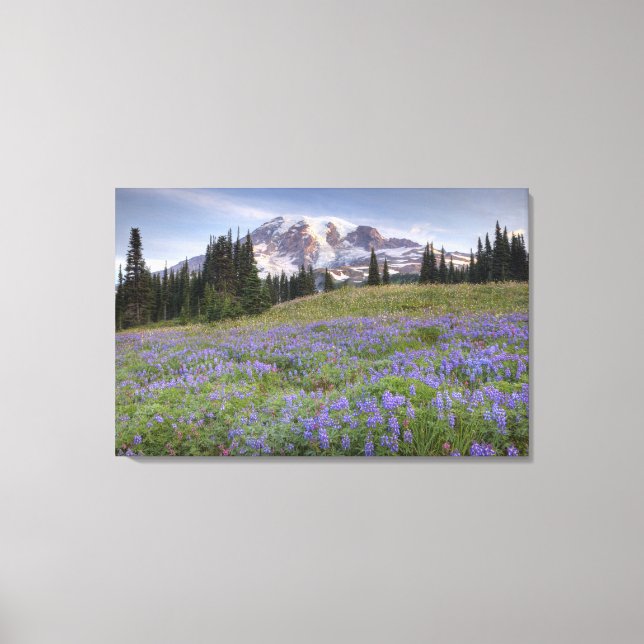 Impressão Em Tela EUA, Washington, Mt. Rainier NP, Mt. Rainier e (Frente)