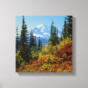 Impressão Em Tela EUA, Washington, Parque Nacional Mt. Rainier 2