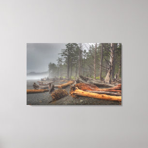 Impressão Em Tela EUA, Washington, Parque Nacional Olímpico, Rialto
