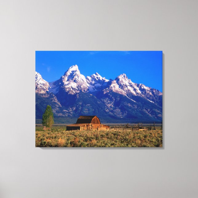 Impressão Em Tela EUA, Wyoming, Grand Teton National Park, Manhã (Frente)