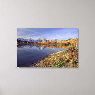 Impressão Em Tela EUA, Wyoming, Parque Nacional Grand Teton. Mt.