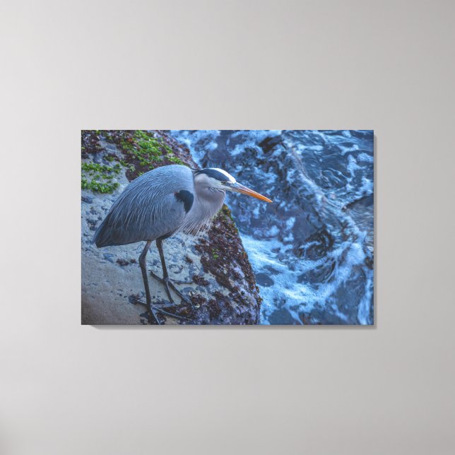 Impressão Em Tela Excelente Blue Heron (Frente)