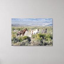 Executar Livre para sempre