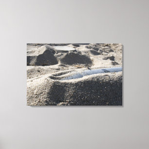 Impressão Em Tela Exibição estática de uma shell de equipamento