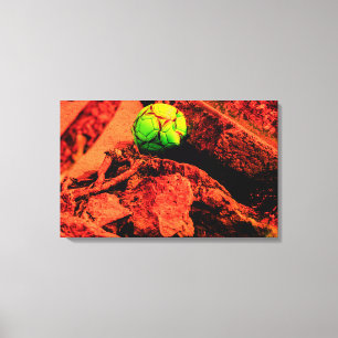 Impressão Em Tela explorador de mosquitos