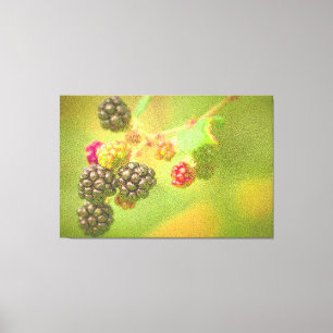 Impressão Em Tela "Fábrica de Frutas Blackberry" Foto Grátis. Compre