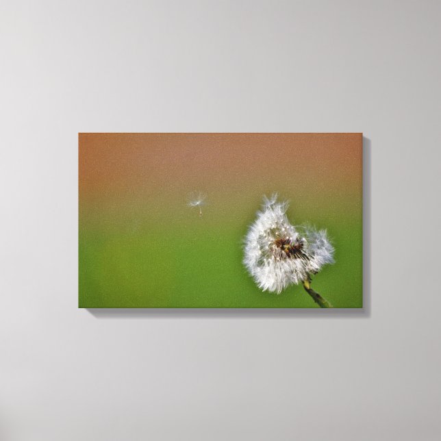 Impressão Em Tela faça um desejo, (Frente)