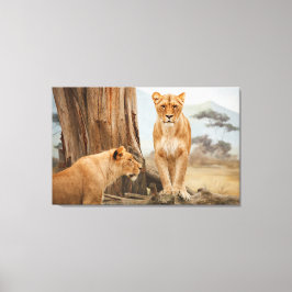 Impressão Em Tela Face A Face Com Leões Wall Art