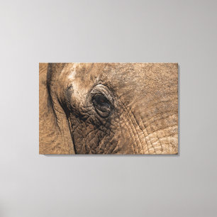 Impressão Em Tela Face de um Elefante