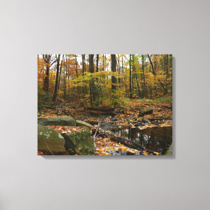 Impressão Em Tela Fall Creek com Reflexo no Laurel Hill Park