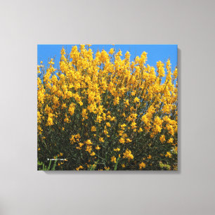 Impressão Em Tela Falso Amarelo Indigo / Indigo Selvagem / Horseflyw