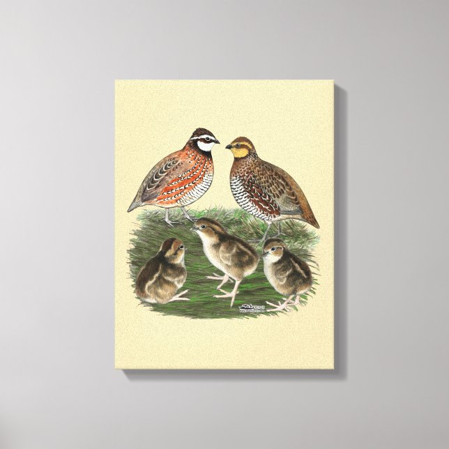 Impressão Em Tela Família de Codorna Bobwhite (Frente)