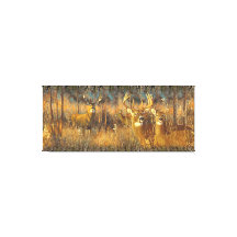 Família De Veados Na Manhã Do Outono Sun