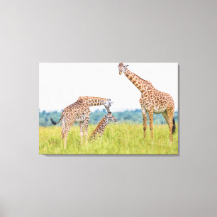 Impressão Em Tela Família do girafa das imagens   de Getty