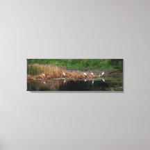 Família Heron - lado direito