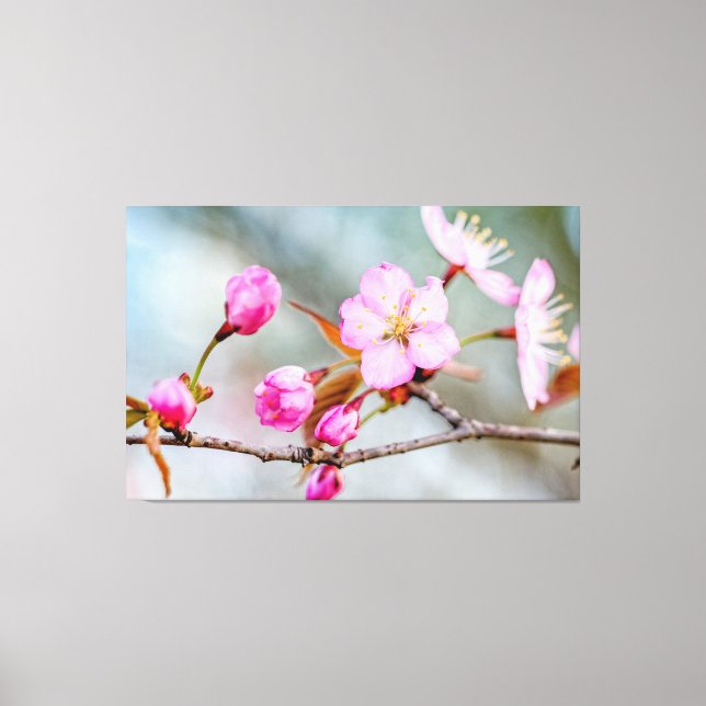 Impressão Em Tela Fascínio das Flores de Sakura no Jardim de Primave (Frente)