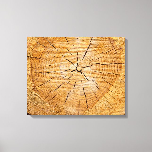 Impressão Em Tela Fatia da Vida (Frente)