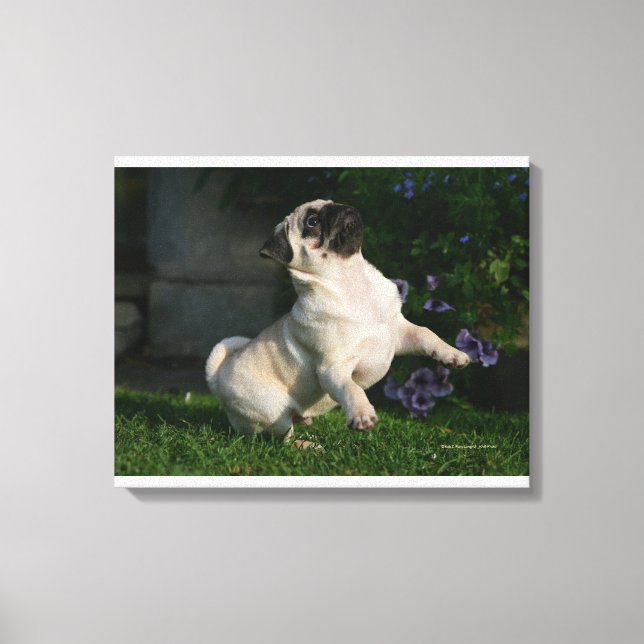 Impressão Em Tela Fawn Pug Puppy (Frente)
