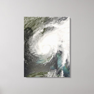 Impressão Em Tela Fay tropical da tempestade