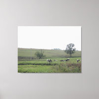Fazenda Centro-Oeste Vacas Leiteiras Fotografia Wa