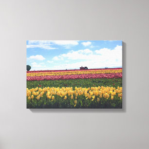 Impressão Em Tela Fazenda de Tulipas de Sapato de Madeira, Woodburn,