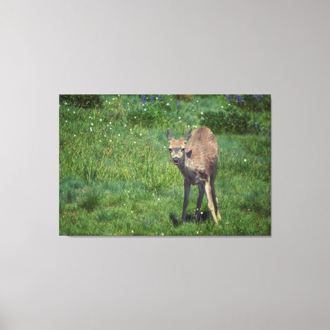 Impressão Em Tela Fazer (Frente)