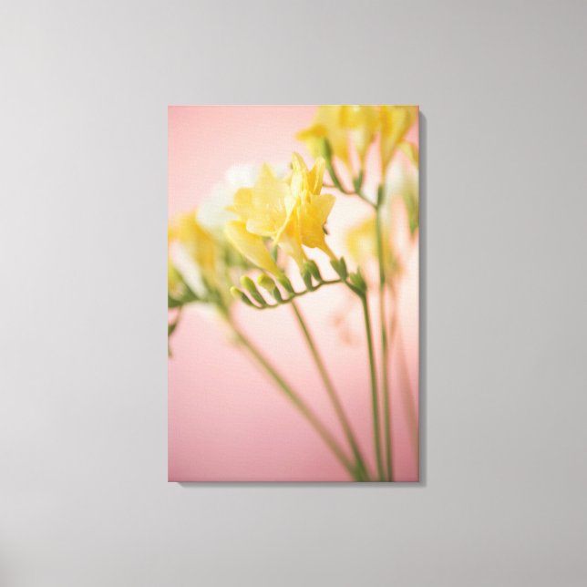 Impressão Em Tela Fechamento das flores da freesia (Frente)