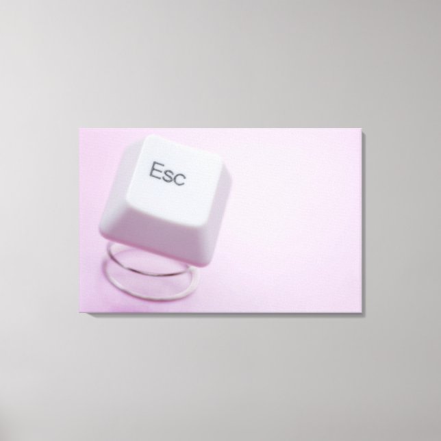 Impressão Em Tela Fechamento de uma chave de escape (Frente)