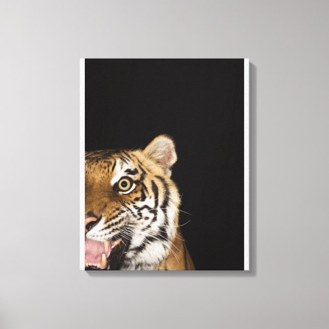 Impressão Em Tela Fechar a face do tigre rugindo (Frente)