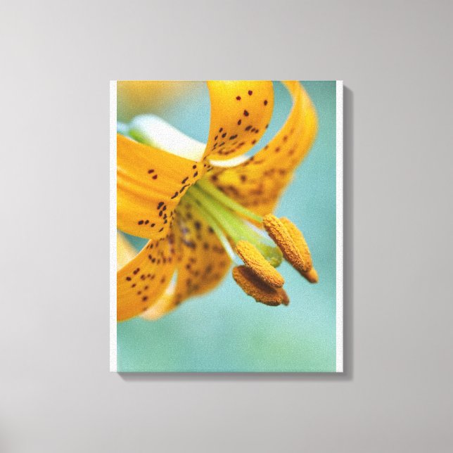 Impressão Em Tela Fechar uma Lily Amarela (Frente)