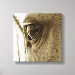 Impressão Em Tela Feche a imagem de um olho de Cinza apimentado