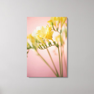 Impressão Em Tela Feche acima das flores do freesia