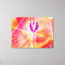 Feche o Abstrato de Tulipas Vermelhas