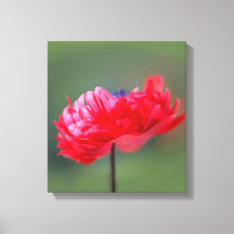 Fecho do efeito de pintura de flor vermelha