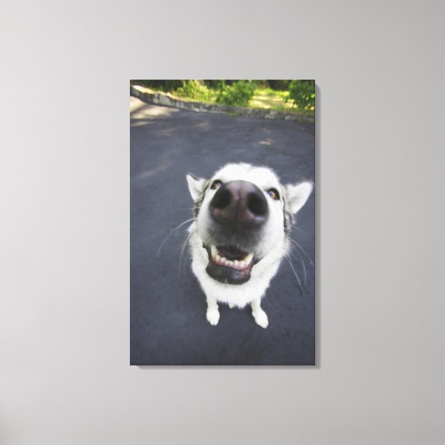 Impressão Em Tela Fecho do nariz do rouco (Frente)