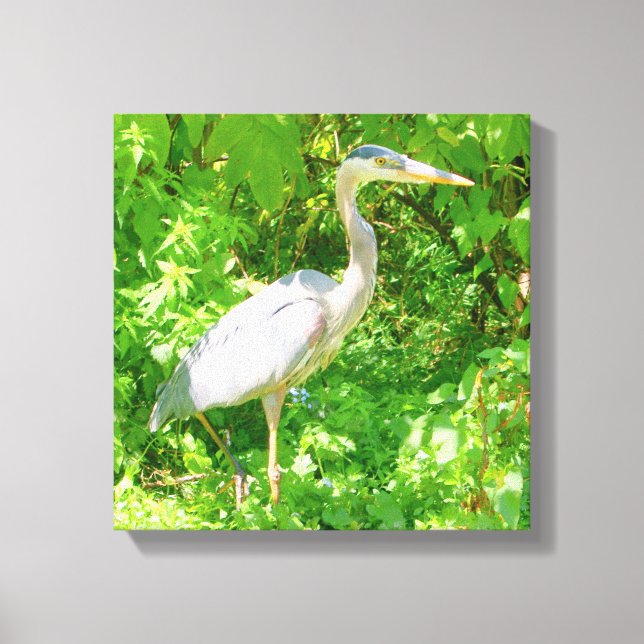 Impressão Em Tela Fécula azul, borda da lagoa, ave selvagem bonito,  (Frente)