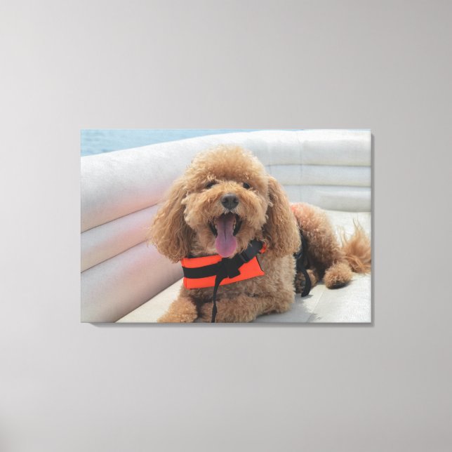 Impressão Em Tela Feliz Cachorro De Cockapoo Em Sorrisos De Barcos D (Frente)