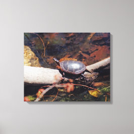 Impressão Em Tela Feliz Tartaruga