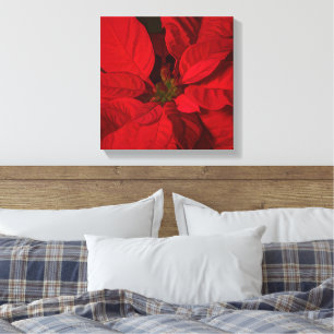 Impressão Em Tela Feriados de Natal da Red Poinsettia