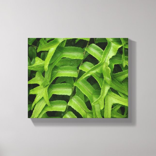Impressão Em Tela Fern (Frente)