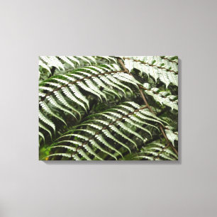 Impressão Em Tela Fern Fronds II Dark Green Nature