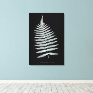 Impressão Em Tela Fern - Gymnogramma Villosa - Efeito de raios X - 0