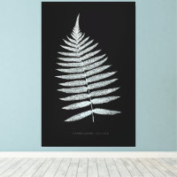 Fern - Gymnogramma Villosa - Efeito de raios X - 0