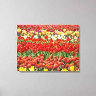 Impressão Em Tela Festival de Tulipas Campo Colorido de Tulipas Arte