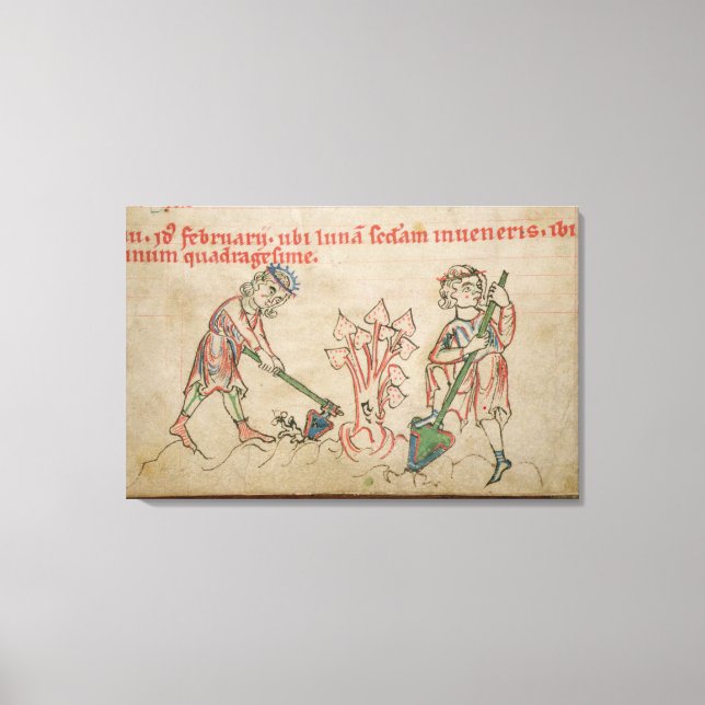 Impressão Em Tela Fevereiro: refúgio (Frente)