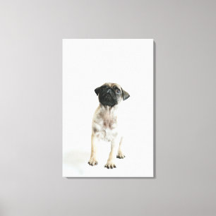Impressão Em Tela Filhote de cachorro bonito do Pug