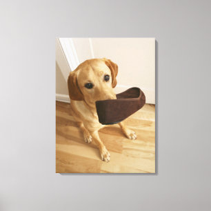 Impressão Em Tela Filhote de cachorro de labrador retriever com o